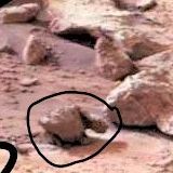 a very angry tortoise on Mars